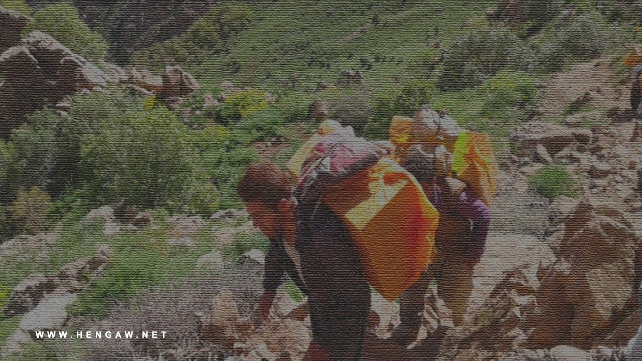 برینداربوونی دوو کۆڵبەر بە تەقەی ڕاستەوخۆی هێزە حکومەتییەکان لە سنوورەکانی بانە و نەوسوود