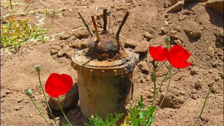 64 killed or seriously injured in Landmine blasts in Iranian Kurdistan over the last year
