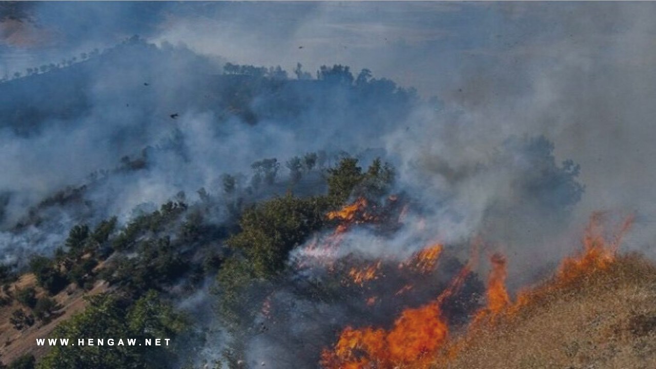 گزارش هه‌نگاو از آتش‌سوزی دامنه‌دار و گسترده در جنگل‌ها و مراتع مریوان