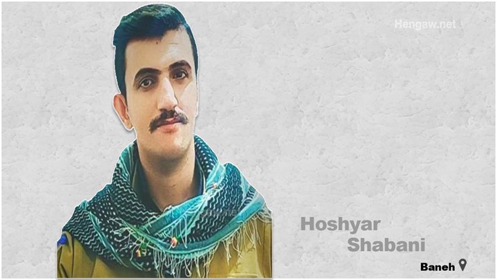 Huoshyar Shabani was sentenced to one year imprisonment 