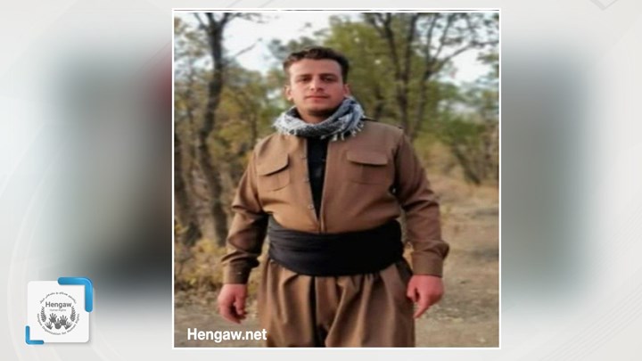 محمد نیکپی با وثیقه آزاد شد محمد نیکپی با وثیقه آزاد شد