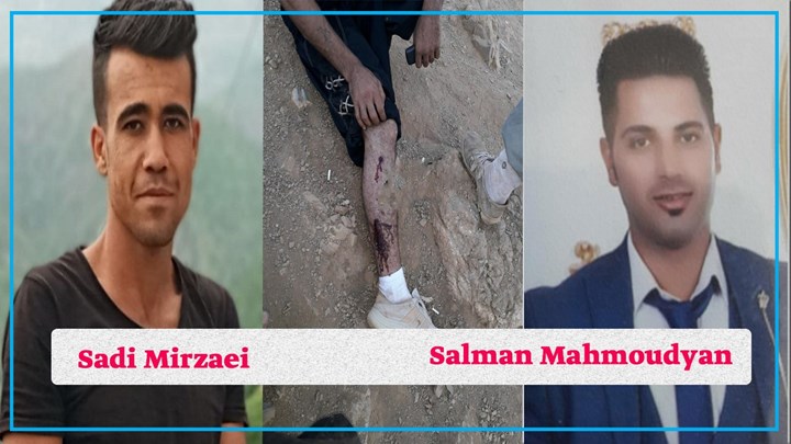 بریندار بوونی شەش کۆڵبەر لە سنوورەکانی کوردستان بریندار بوونی شەش کۆڵبەر لە سنوورەکانی کوردستان