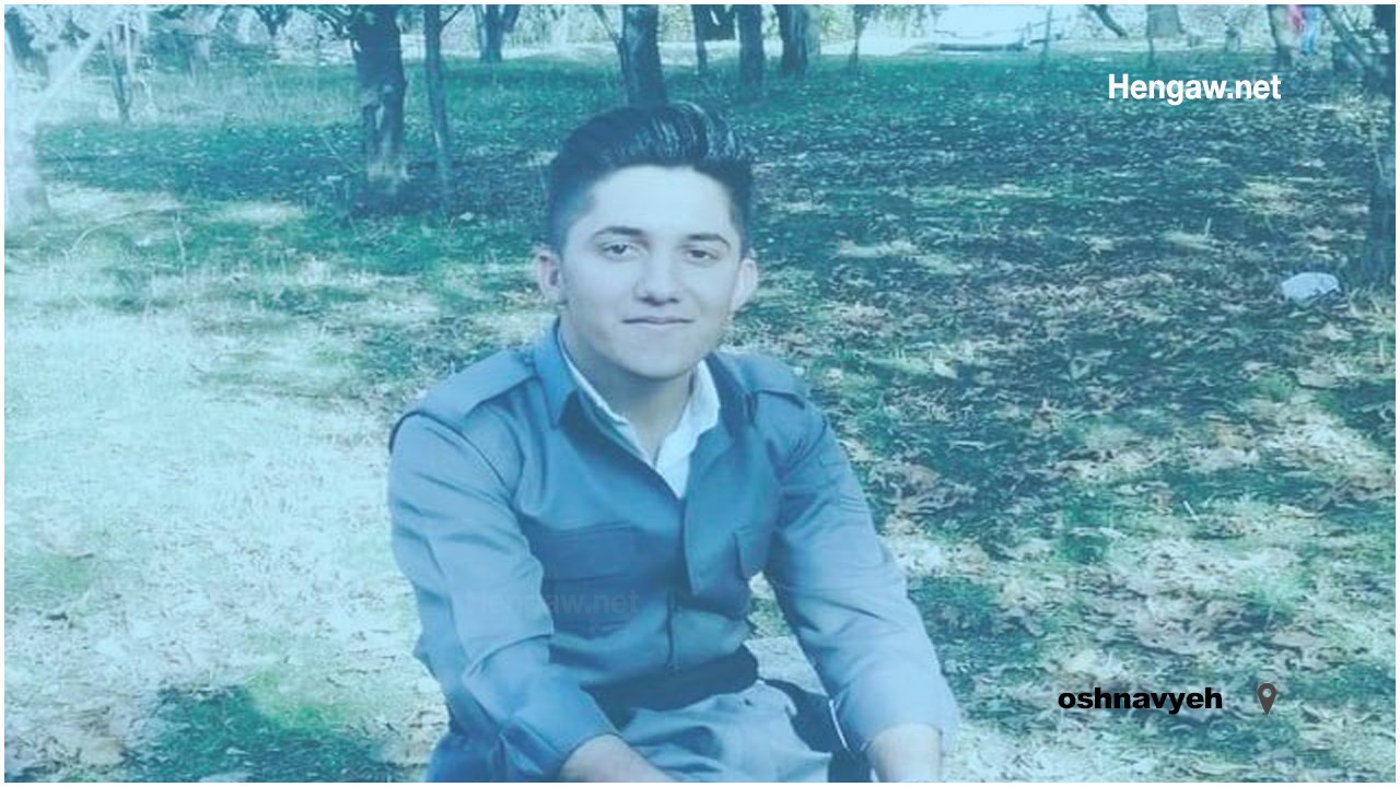 Imposing a sentence of six years imprisonment for a 20-year-old young man in Oshnavyeh
